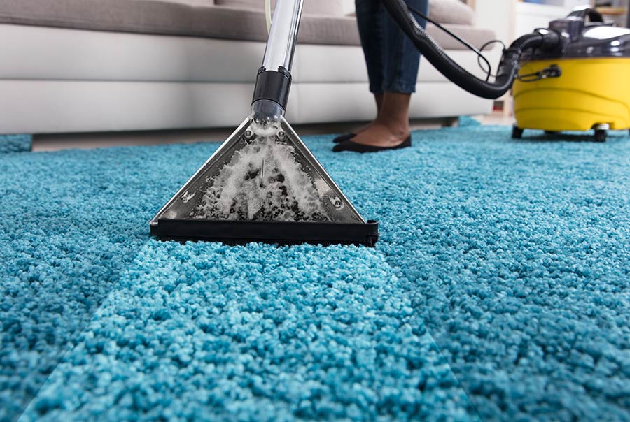 Professional Carpet Cleaning